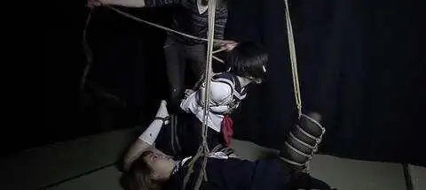 【西檬之家】BDSM字母圈DOM是什么意思？