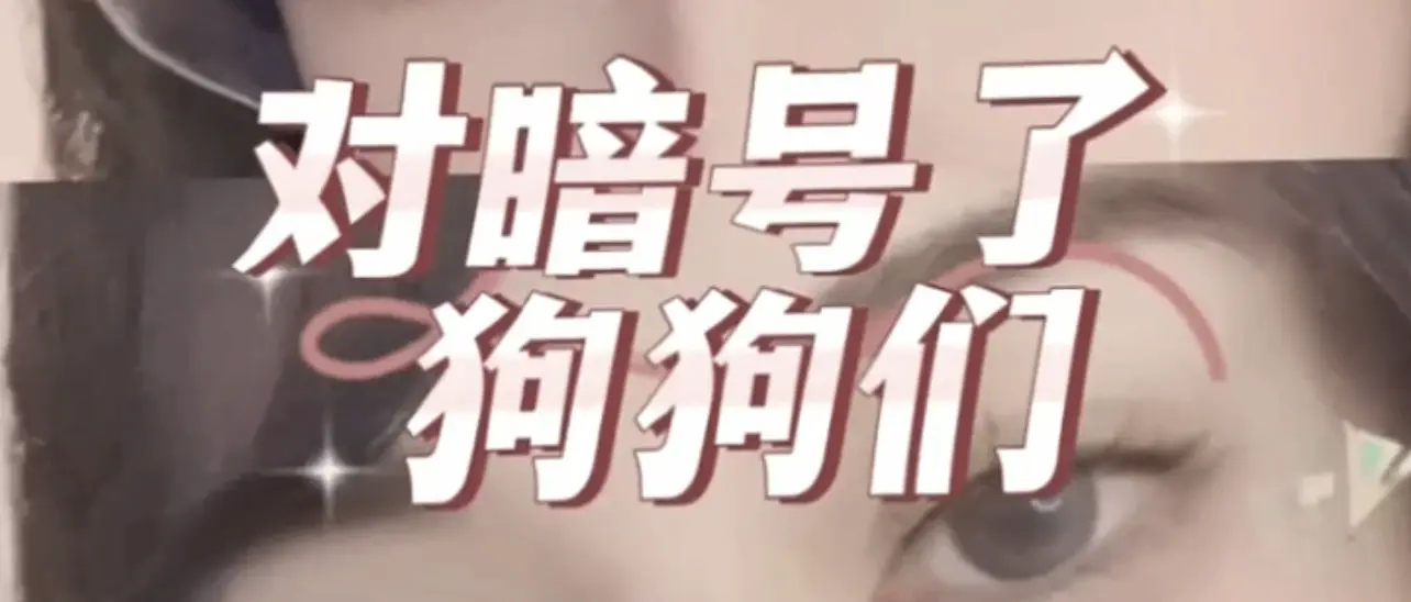 【西檬之家】BDSM圈新人必读：深入解析OTK与核心术语