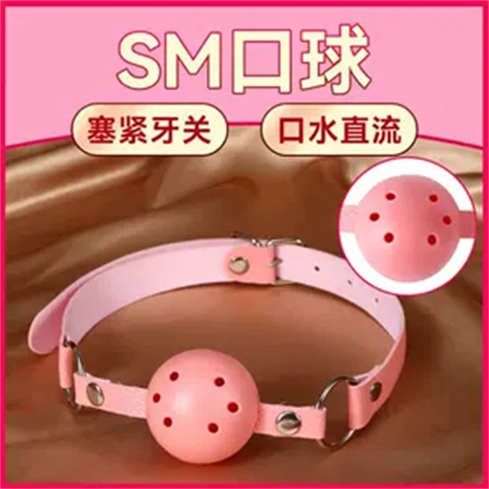 S：实用指南