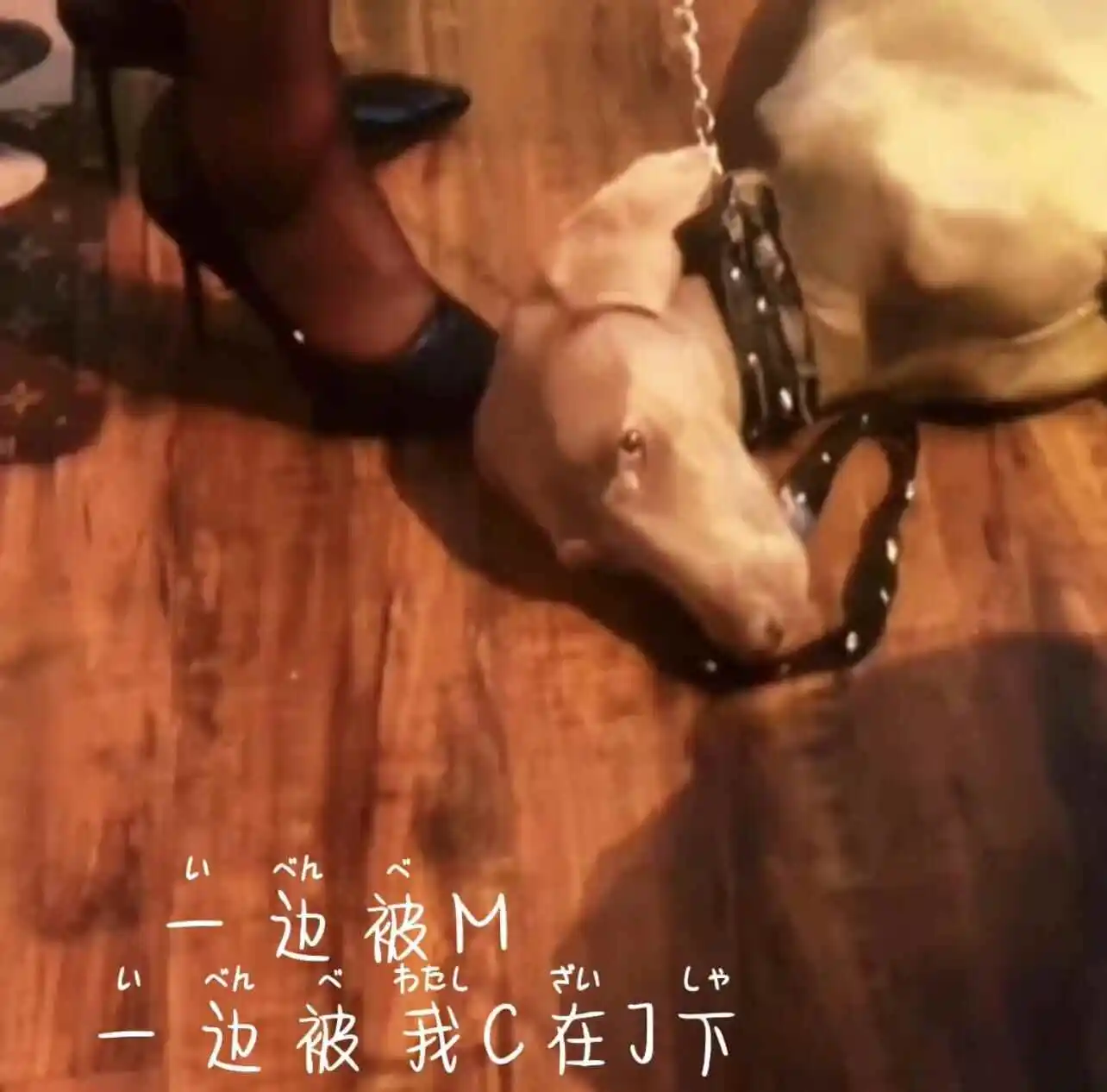 【西檬之家】DT（Dirty Talk）是什么？新手如何融入字母圈？