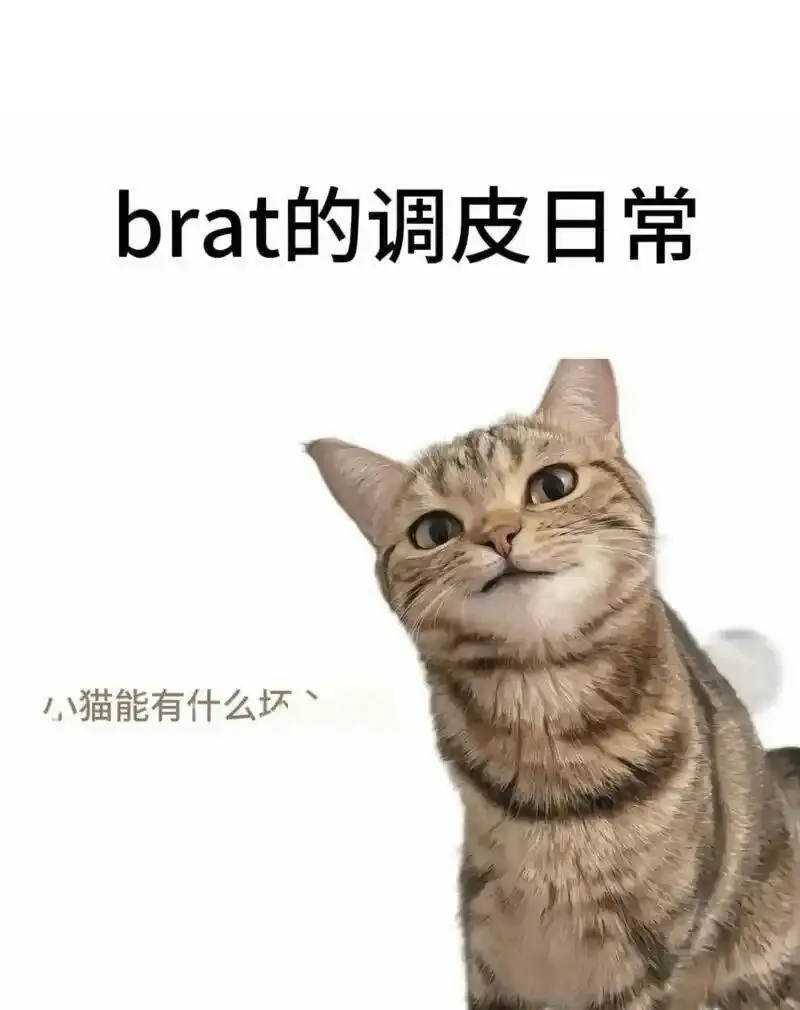 西檬之家-BDSM亚文化中的Sub是什么？新人权威指南