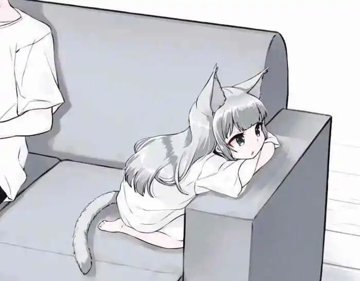 Sp：实用指南