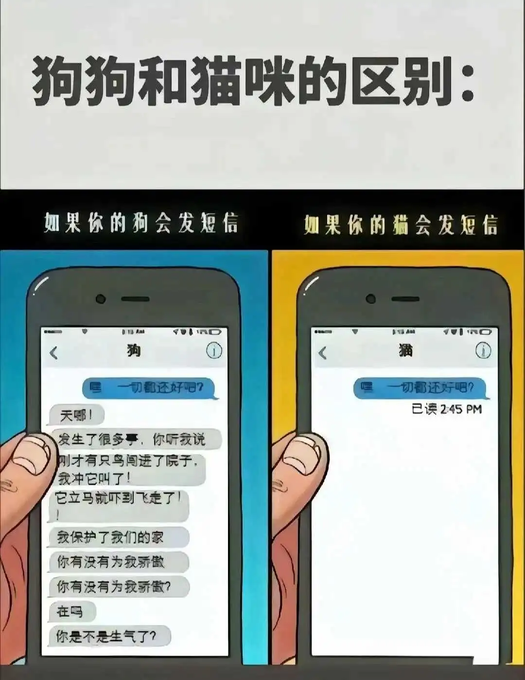 【西檬之家】女王是什么？字母圈新人必读的角色解析