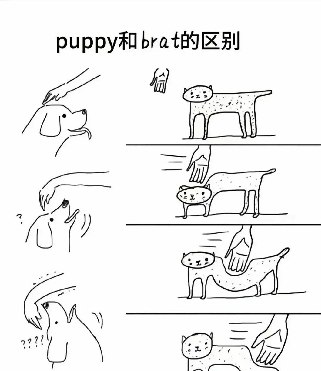【西檬之家】TK玩法解析：字母圈中的轻互动与心理游戏