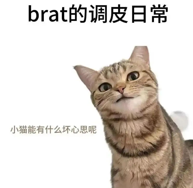 西檬之家-BDSM新人入圈指南：理解核心术语与文化