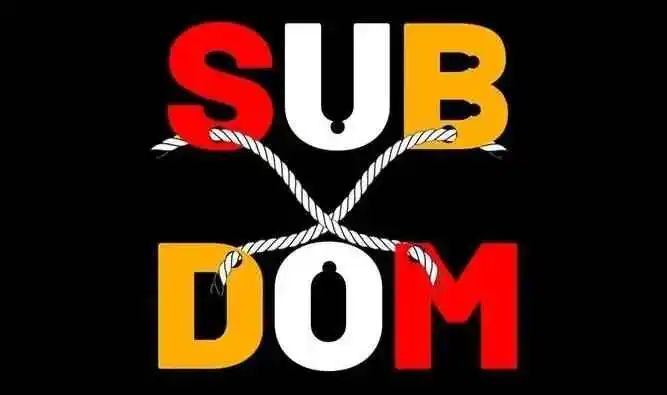 西檬之家-BDSM中的PE是什么？新人必读指南