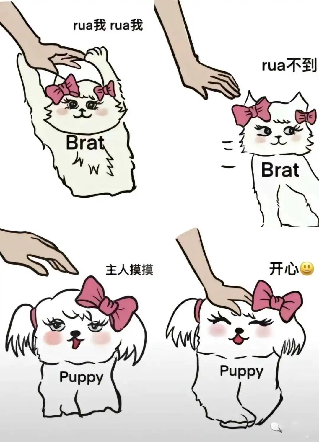 西檬之家-Sub是什么？BDSM新手入圈指南