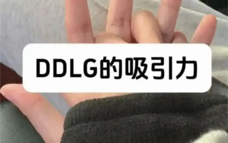 【西檬之家】字母圈的K8是什么？新人必看指南